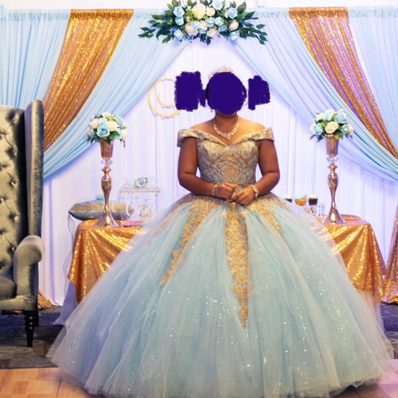 Quinceanera gown - Picture 6 of 6